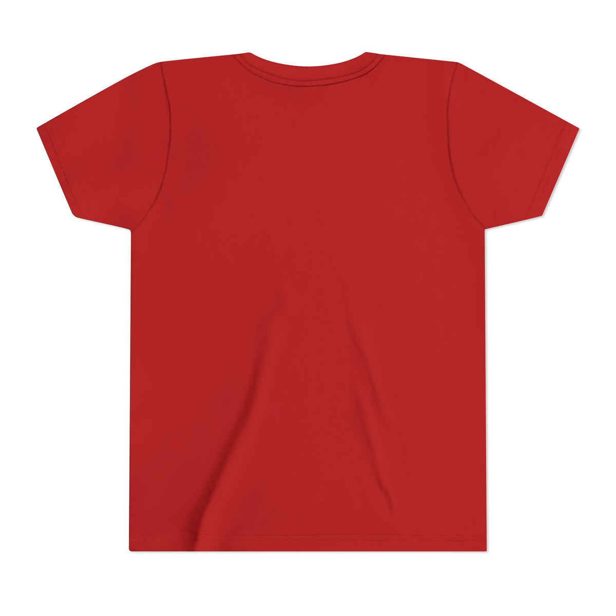 Youth Tee — Cute Christmas Puffin Trio on Plaid |