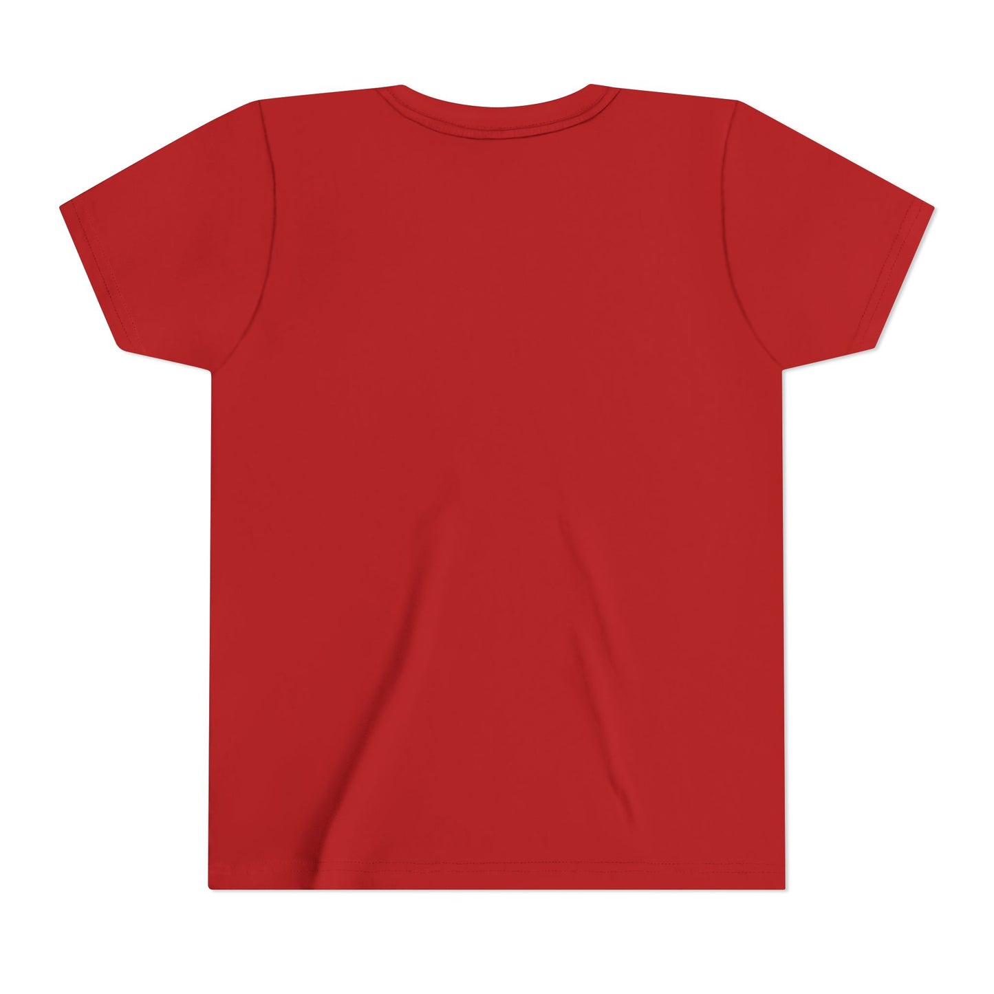 Youth Tee — Cute Christmas Puffin Trio on Plaid |